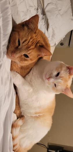 Colby and Jack cuddling