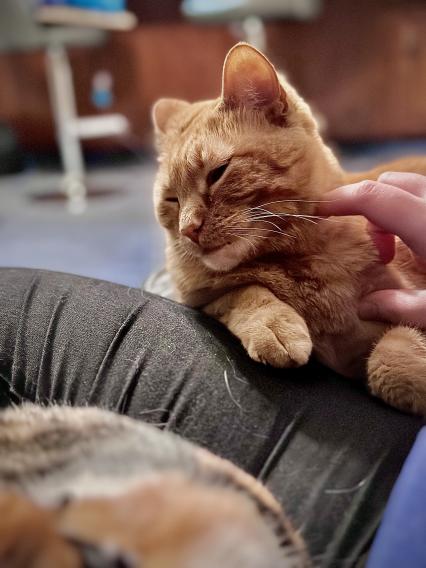 A really good photo of Jack