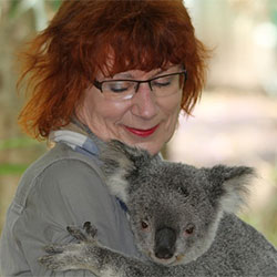 a koala hugging a care giver
