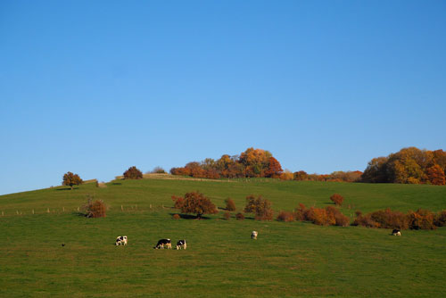 A picture of a countryside.