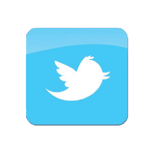 Twitter's logo.