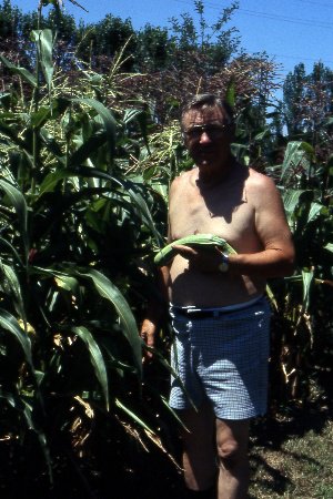 A phoro of one of my male relatives in a corn field..