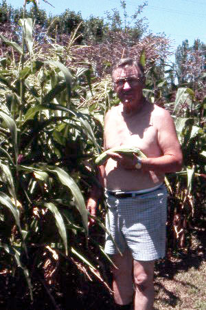 A repaired phoro of one of my male relatives in a corn field..