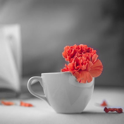 A picture of tea that is desaturated but the flower is saturated.